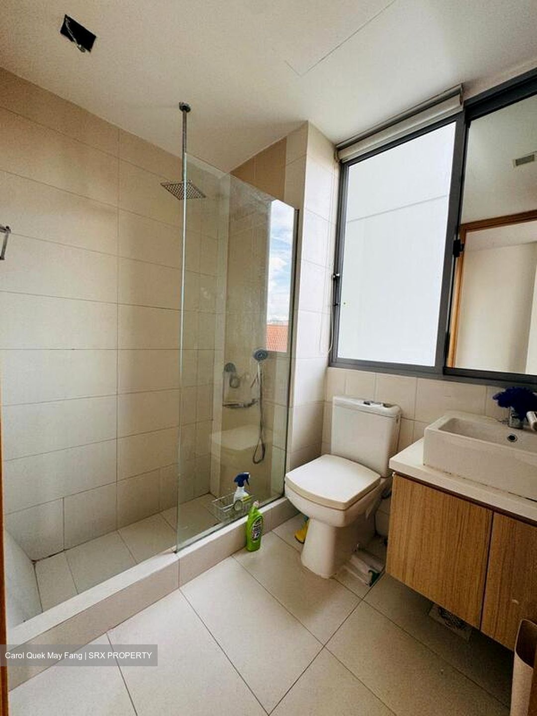 Beacon Heights (D12), Condominium #504721861